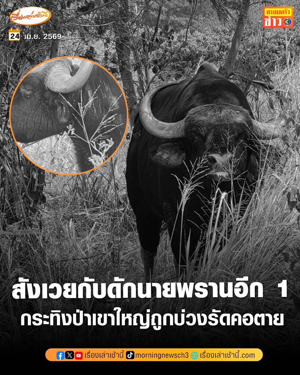 เรื่องเล่าเช้านี้ tweet media