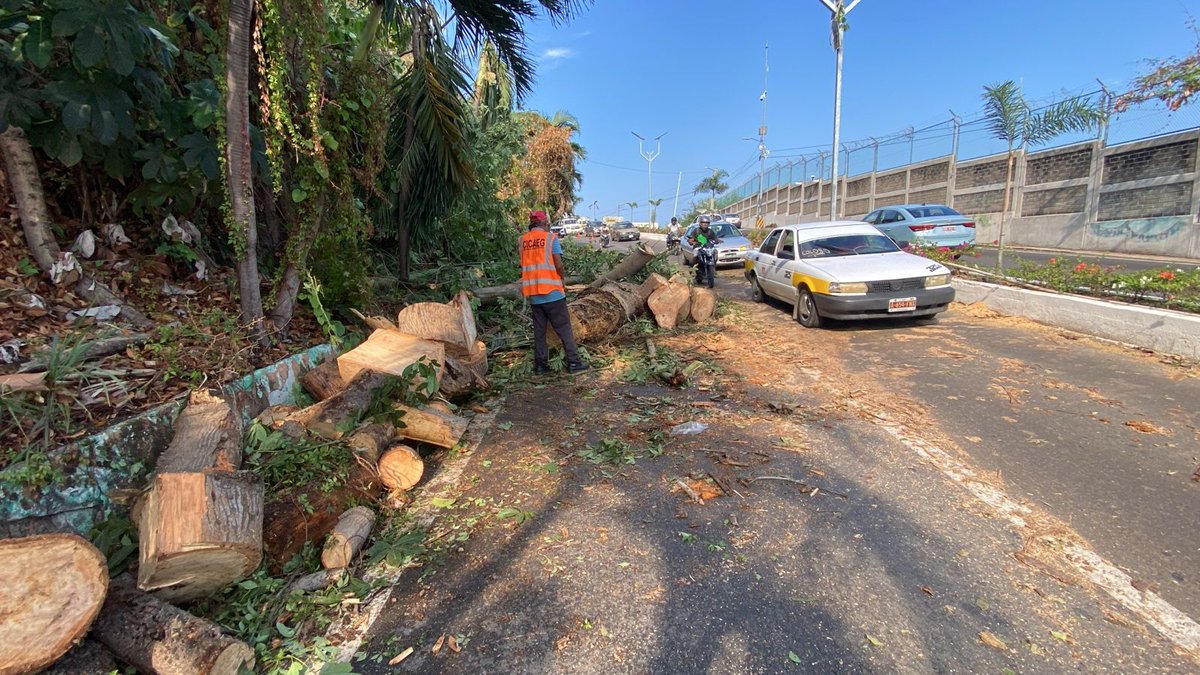 Comunicación Social Guerrero tweet media