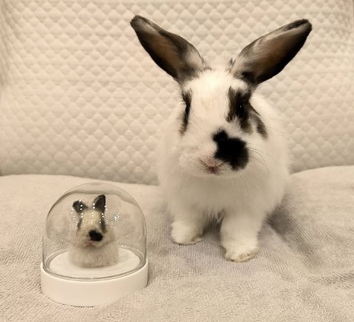 おーろらどるちぇ★5/3幕張手作りアートマーケット tweet media