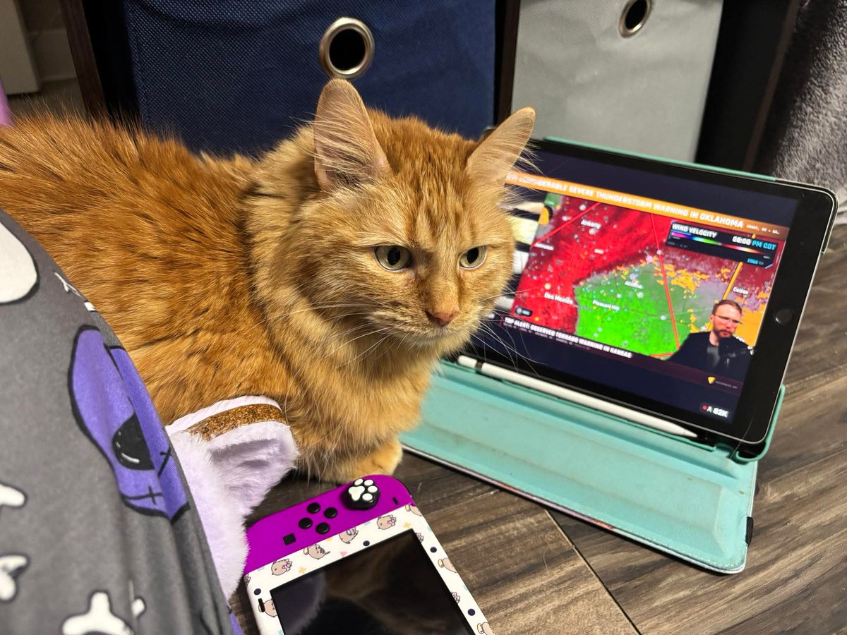Athena is a big <a href="/ryanhallyall/">Ryan Hall, Y’all</a> fan!