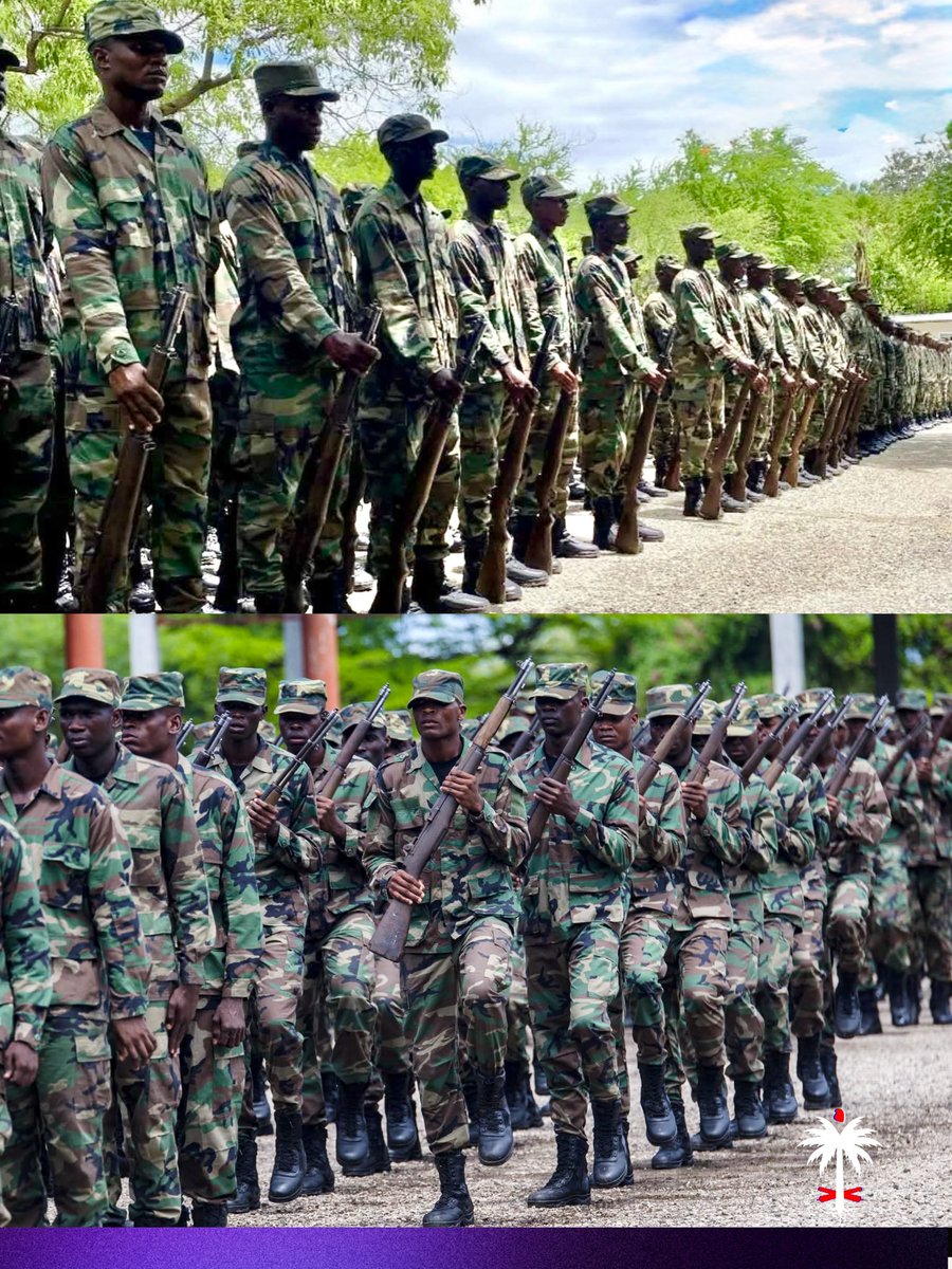 facesofhaiti • 🇭🇹 tweet media