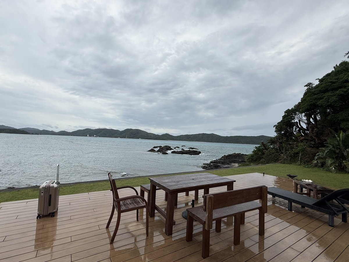 結局何も呟く事なく帰路に着くことになりました。
奄美大島とても良きでした！