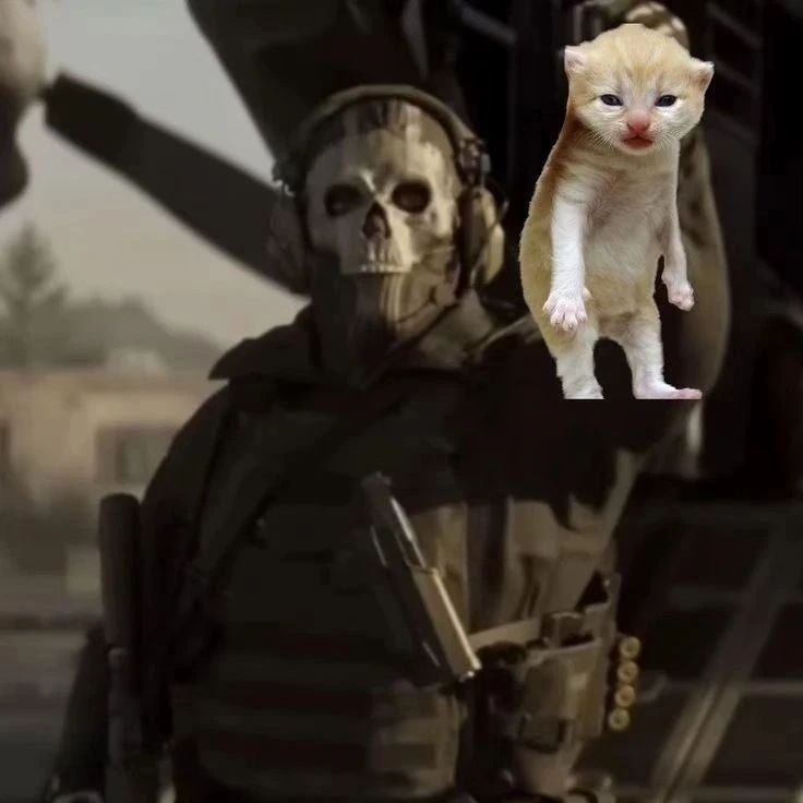 Punch Cat tweet media