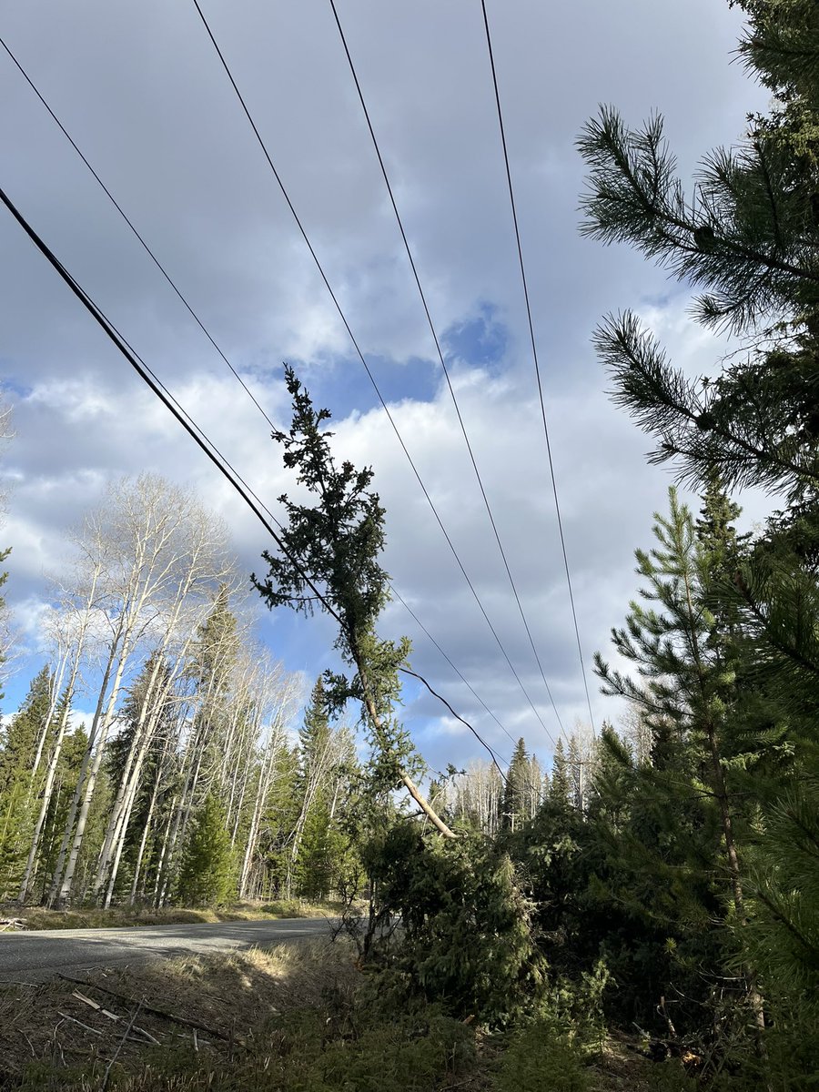 Colin from the Cariboo tweet media