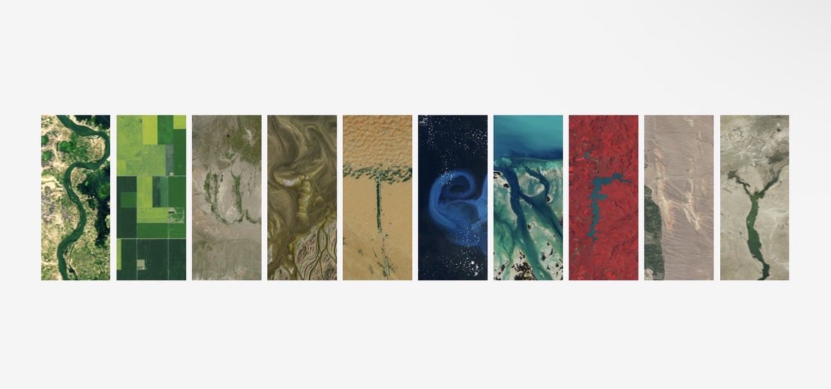 Slutter Fhy tweet media