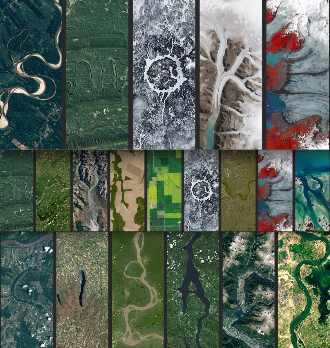 Michael Knowles tweet media