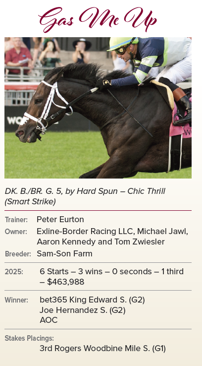 JockeyClubofCAN's tweet photo. GAS ME UP is your 2025 Sovereign Award winner for Champion Male Turf Horse sponsored by @WoodbineTB. @HBPA_ONT @ExlineBorder @keenelandsales #2025SovAwards https://t.co/9rjLEalAeT