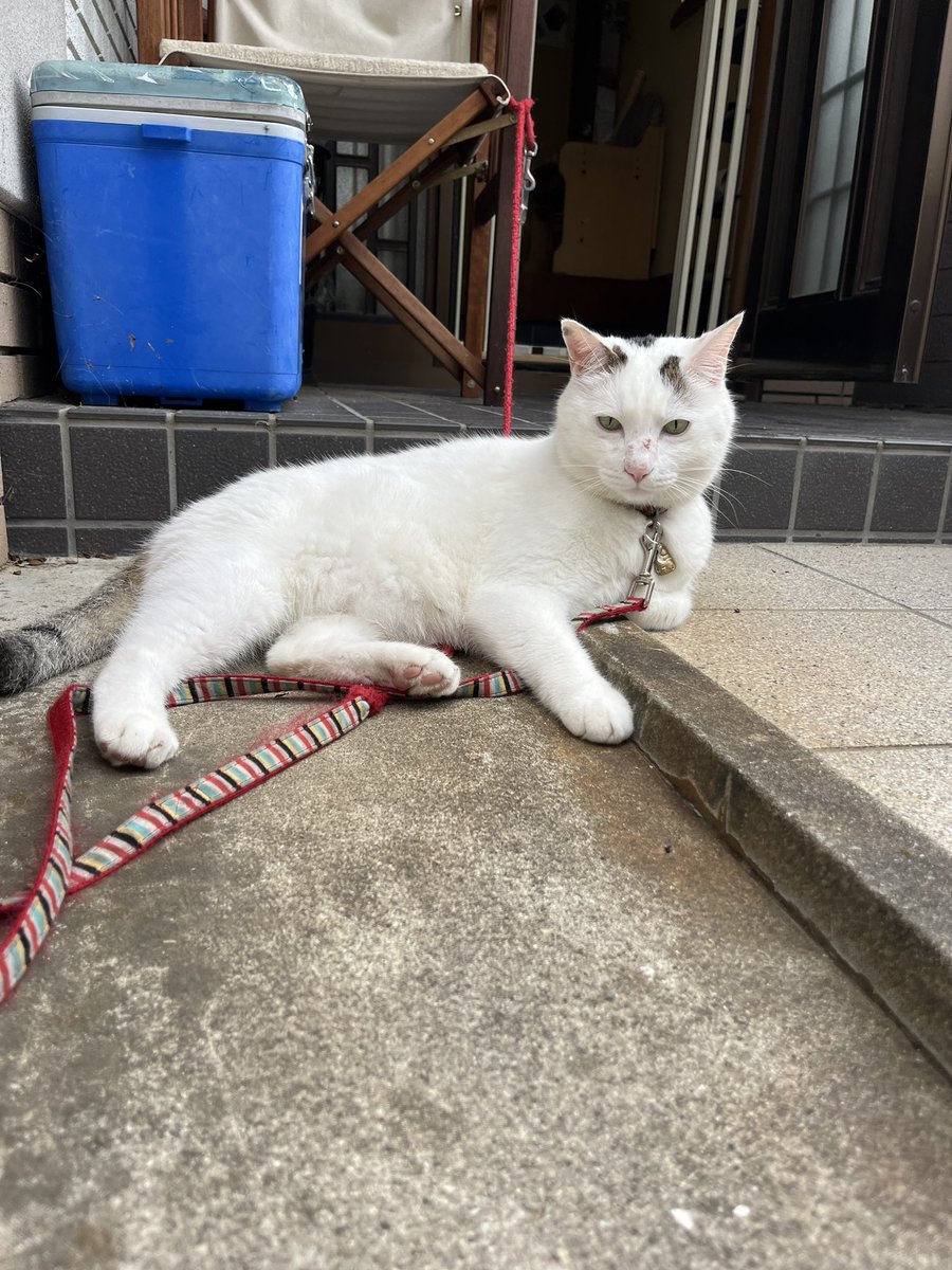 まゆ📸/日本酒と事業支援業で生きる人 tweet media