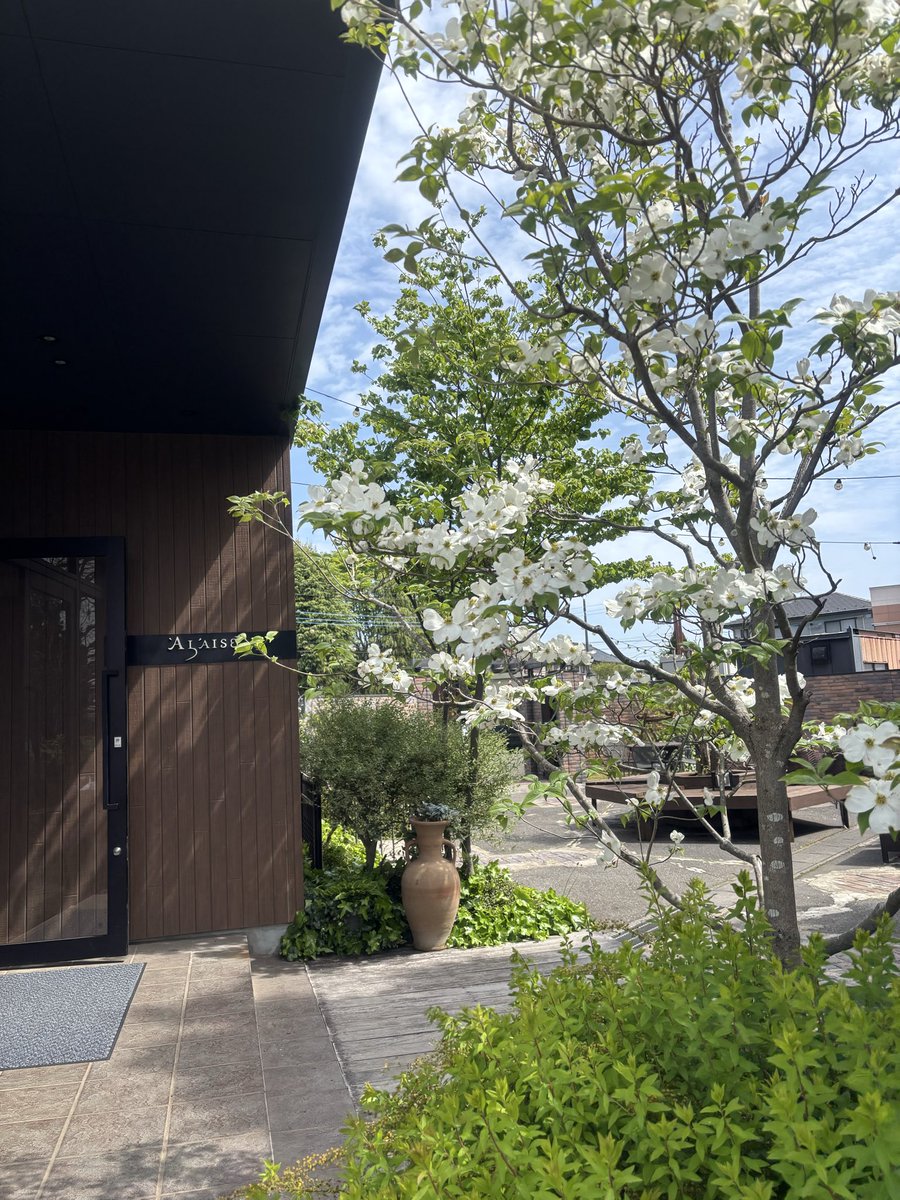 ドレスショップ「ブランシェ」ひたちなか【公式】 tweet media