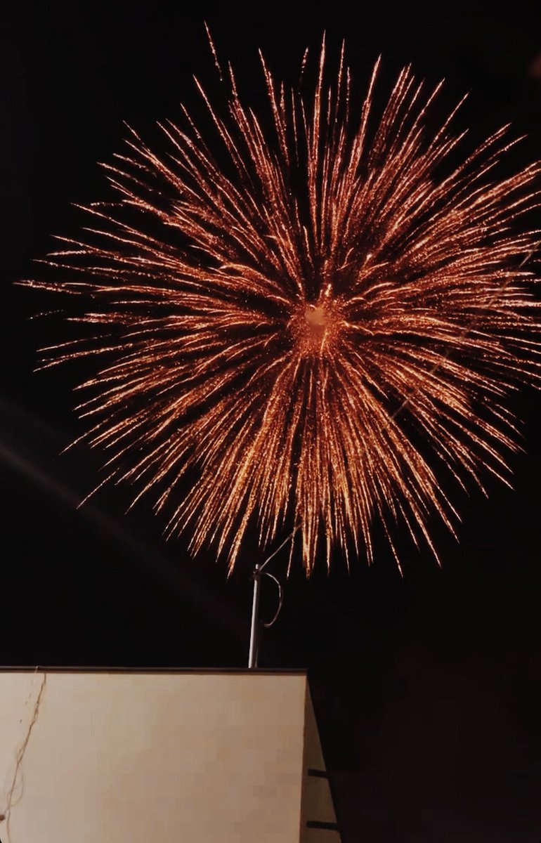 𝘴𝘢𝘭𝘷𝘢𝘵𝘰𝘳𝘦 tweet media