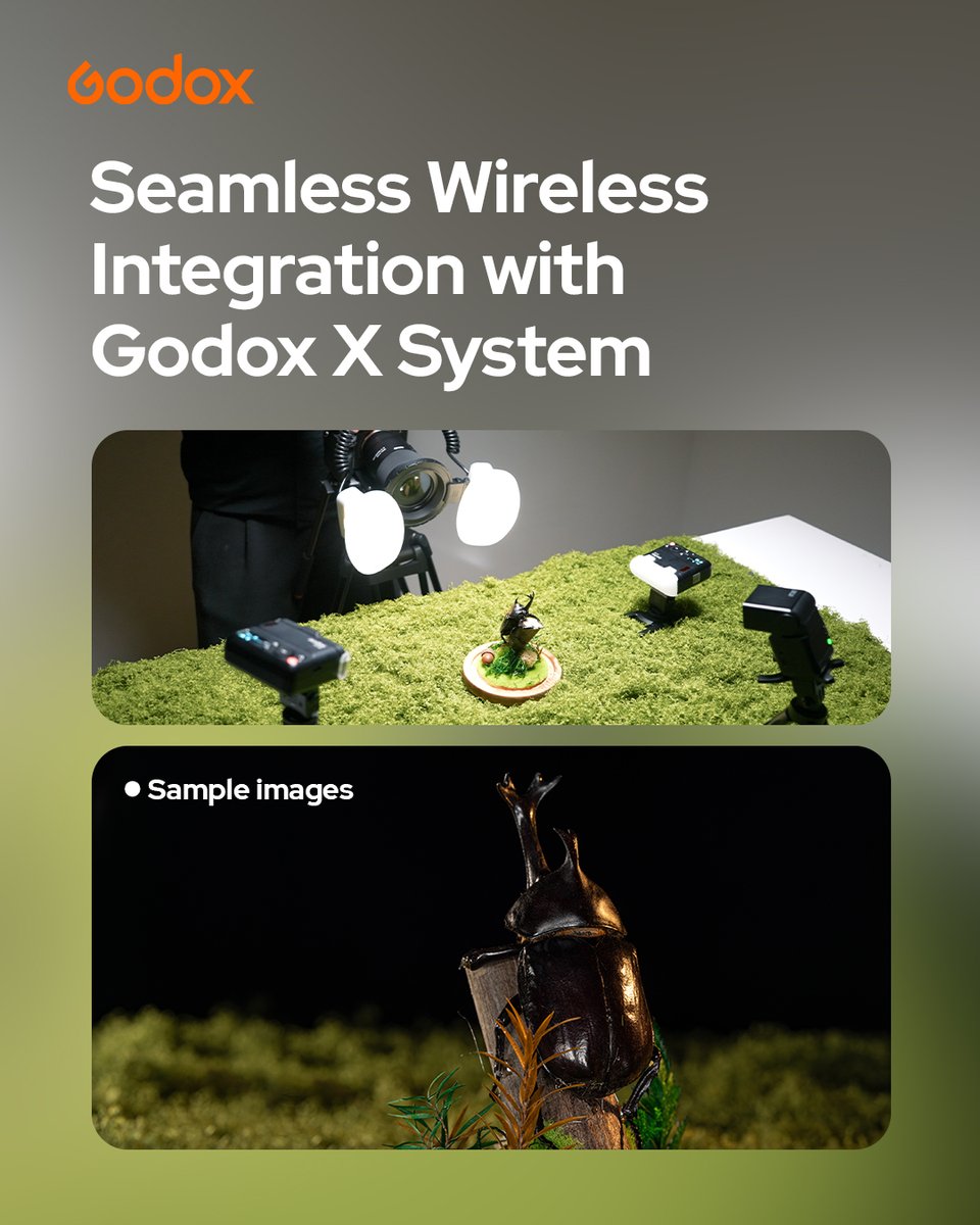 GodoxGlobal's tweet image. Meet the Godox MF-T76 Macro Twin Flash—built for precision, flexibility, and creative control with dual-head design, TTL &amp;amp; HSS support, 1.2s recycling, and built-in modeling lights.
🏷️ RRP: $249
🔗 Learn more: godox.com/product-e/MF-T…
#Godox #MacroPhotography #TwinFlash  #MFT76