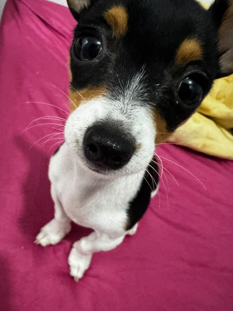 sarɑh ✶ GREENGREEN⁵ tweet media