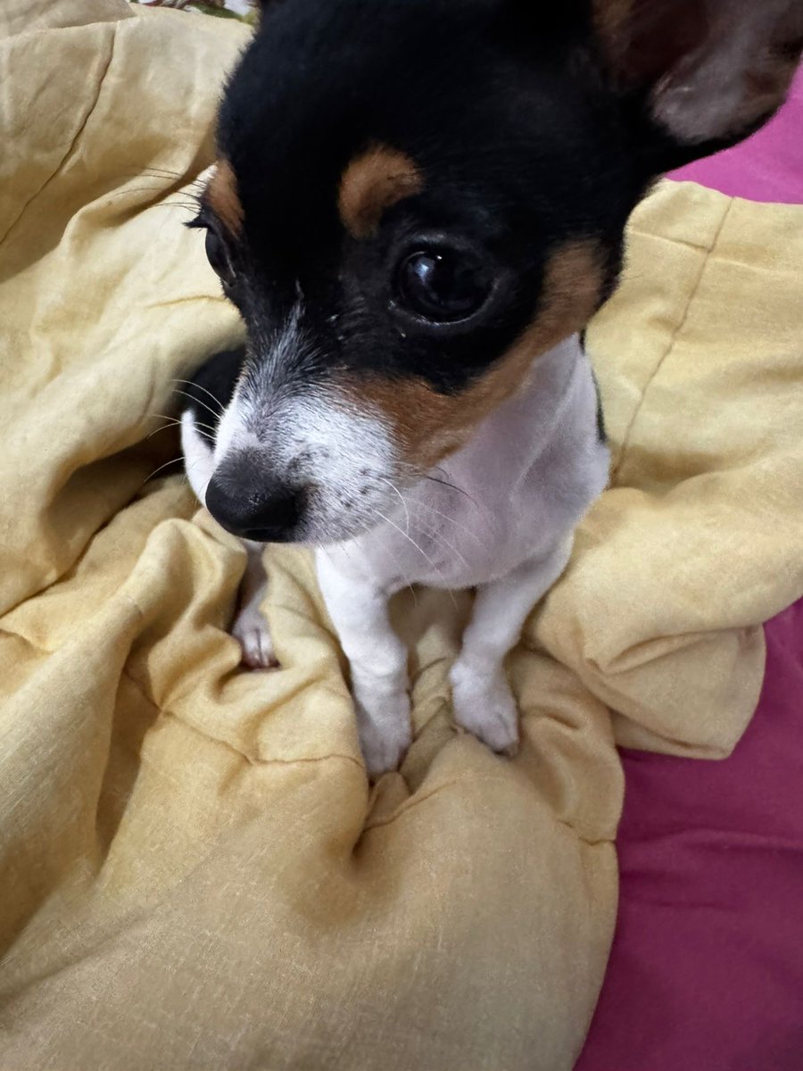 sarɑh ✶ GREENGREEN⁵ tweet media