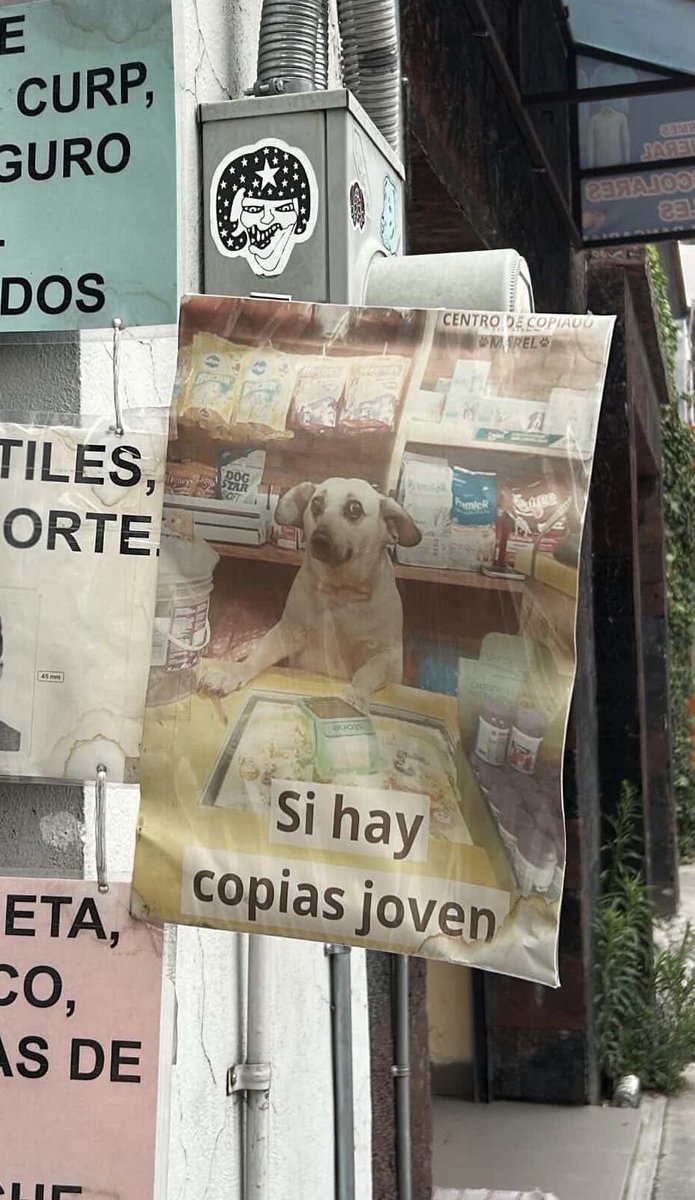 Súper Carteles tweet media