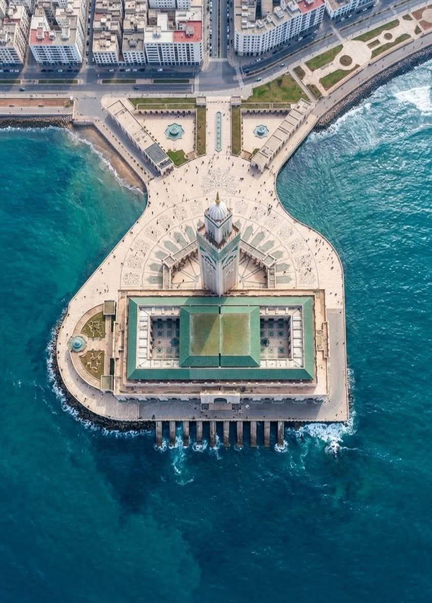 Alma Ahmed tweet media