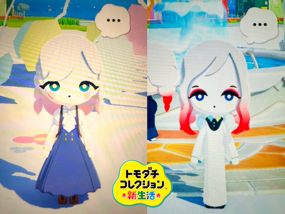 黄菊しーく tweet media