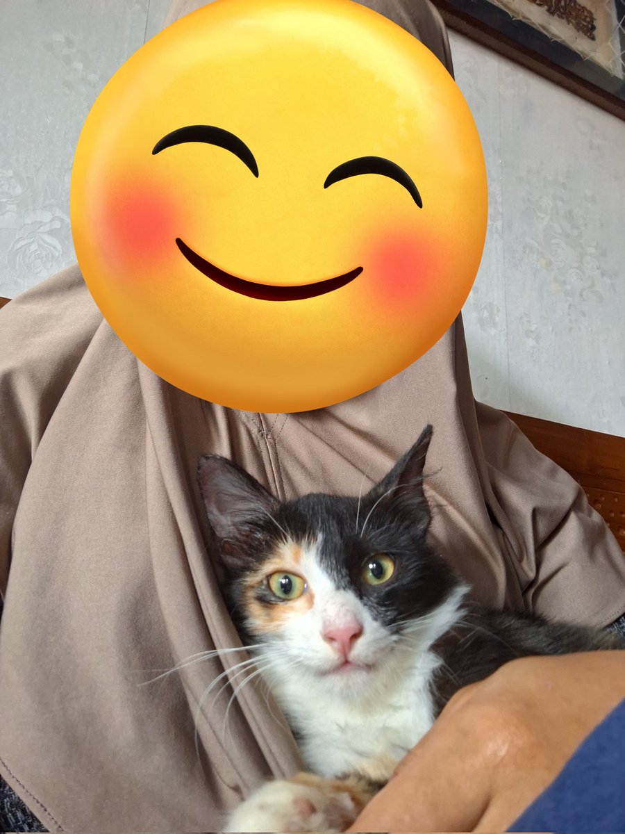 Rii 🌞 tweet media