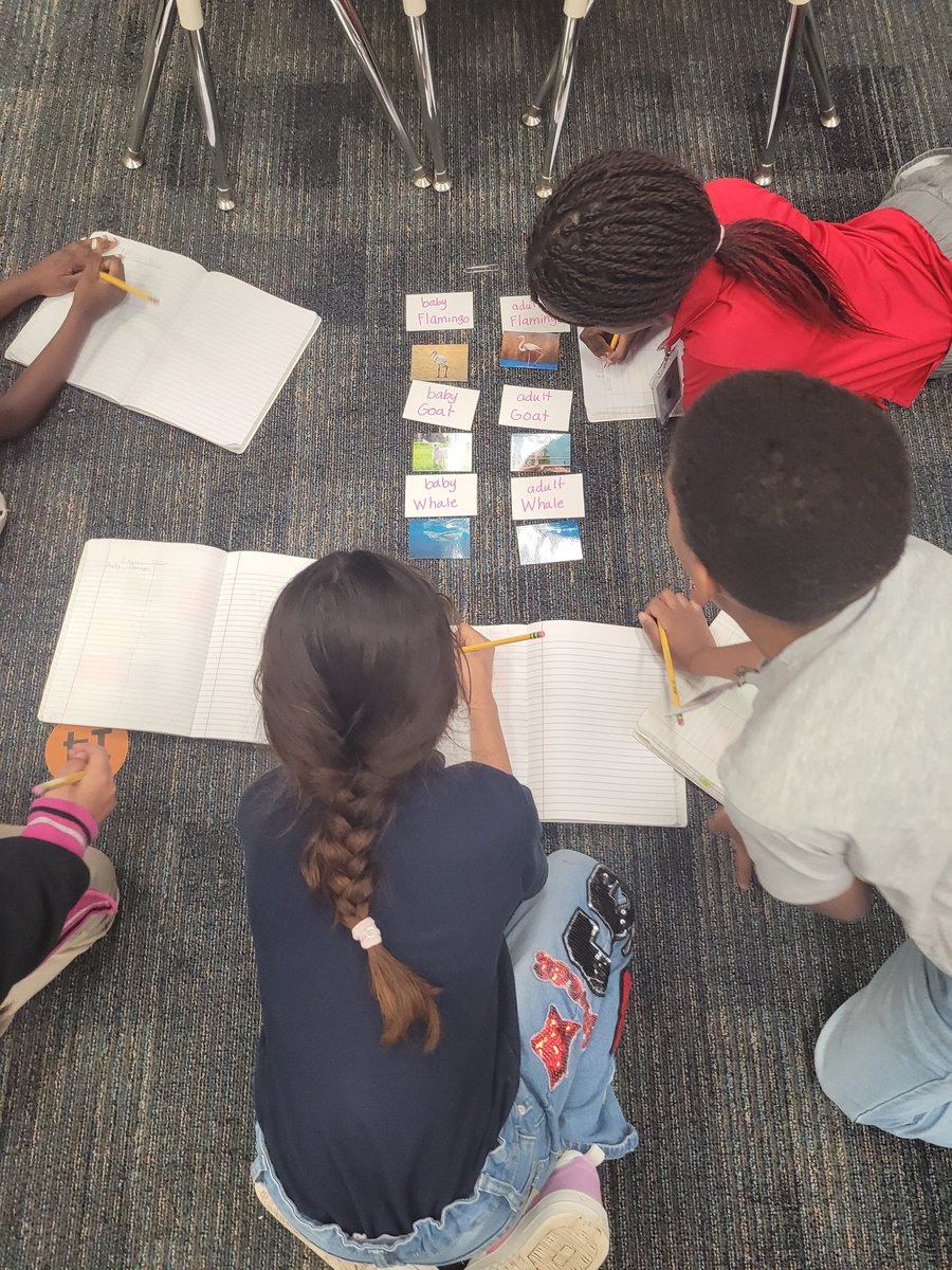 MrsTaylor7720's tweet image. I love a good Science explore activity 😌 ☺️ 😊  #1stGradeScience #match #animals #offspring @AliefScience @AliefISD @AliefLearns @AISDSupe @ExplorersCol