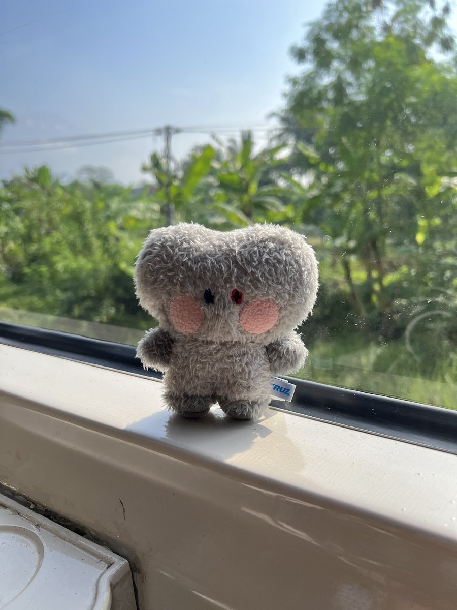 Fira 🐨 tweet media