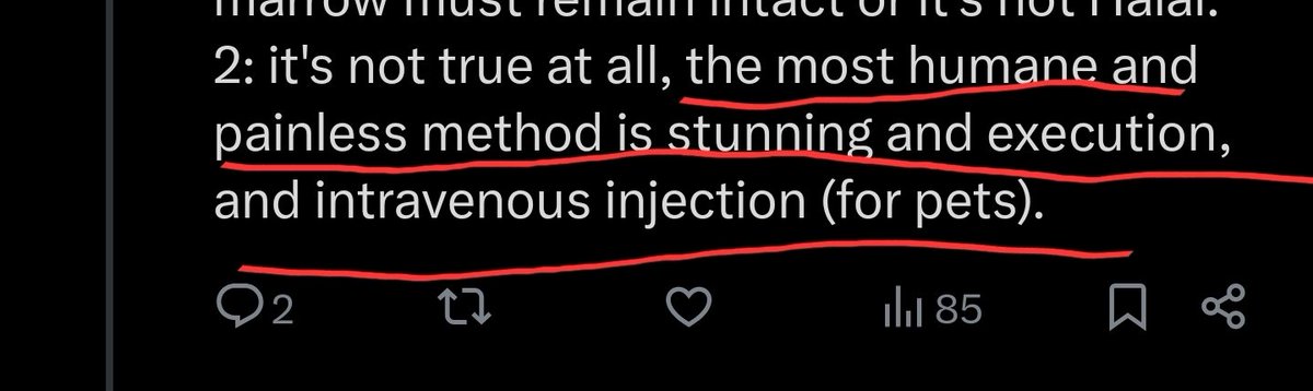 LUCIUS ORTORIUS CASTUS tweet media