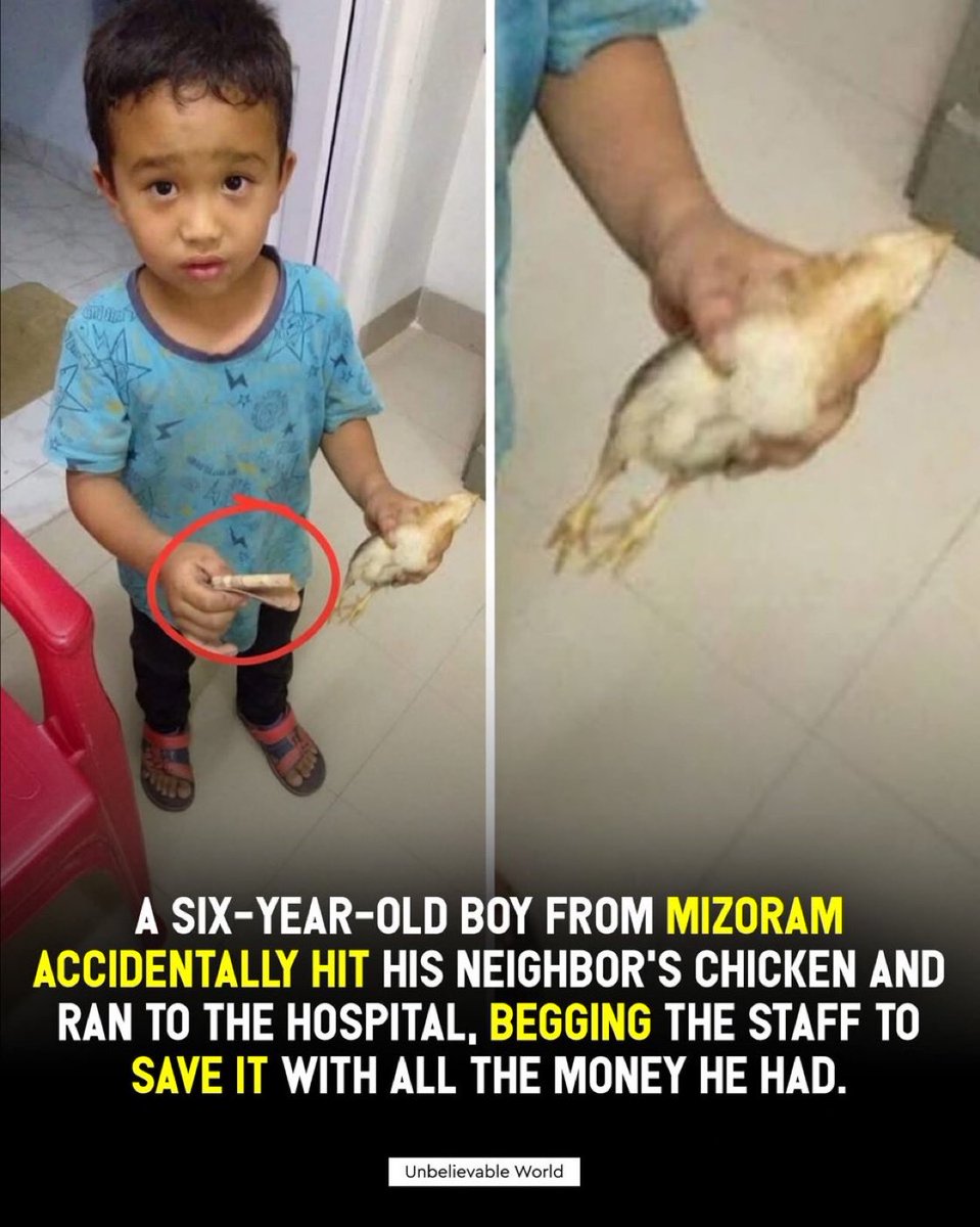 癒しチャンネル tweet media