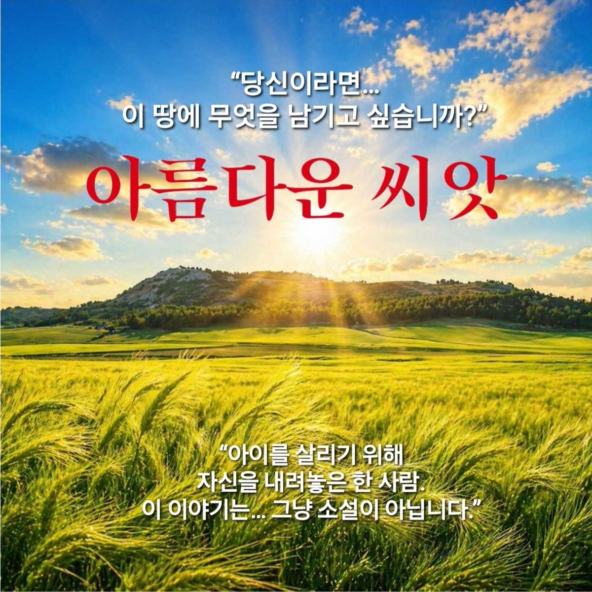 phk23's tweet photo. "여성의 시선으로 본 한국전쟁 소설"
『아름다운 씨앗』은  
“모두가 죽는다고 했던 순간,
그녀는 단 하나를 선택했다."
https://t.co/Kn10efyQrE https://t.co/HQ0SfgsNBm