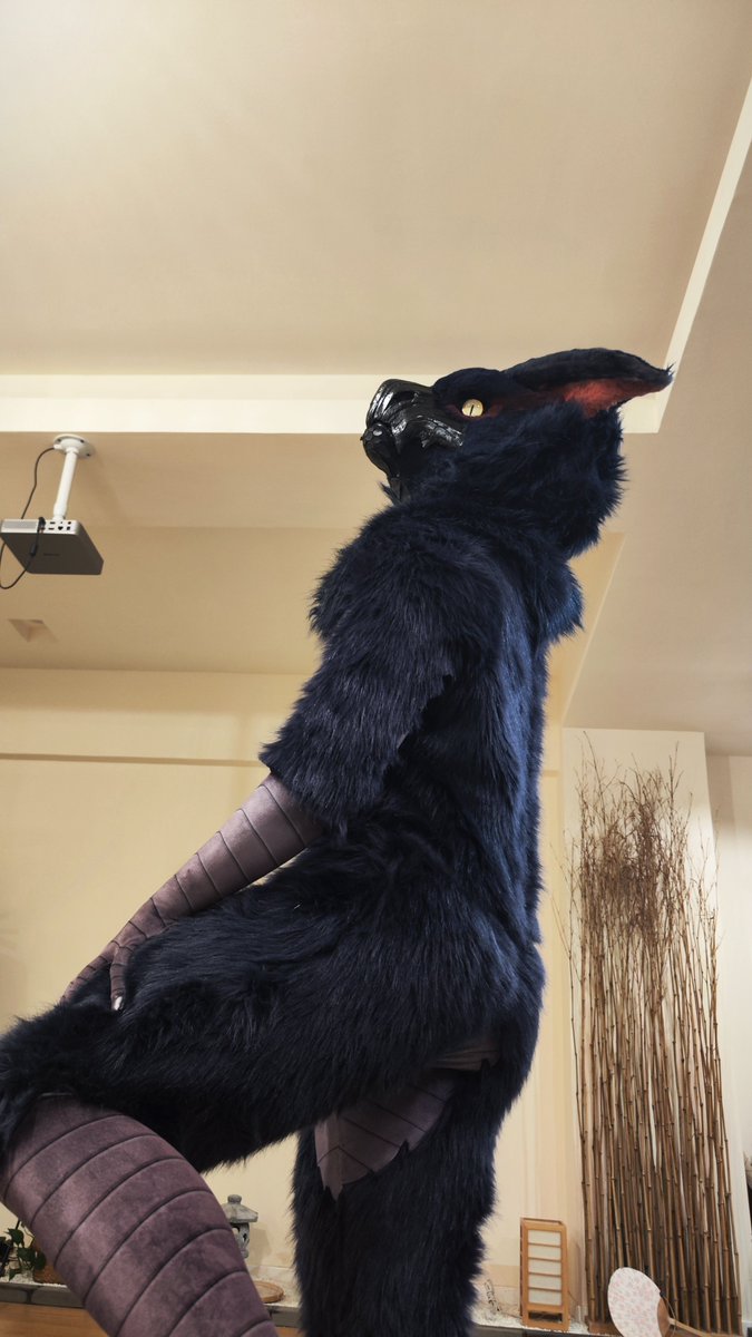 Prey spotted..

(old pics