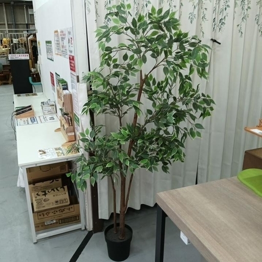 【ジモティ限定特価】  フェイクグリーン 人工観葉植物 ② 本日の気になる持ち込み品は #人工観葉植物 #フェイクグリーン です
