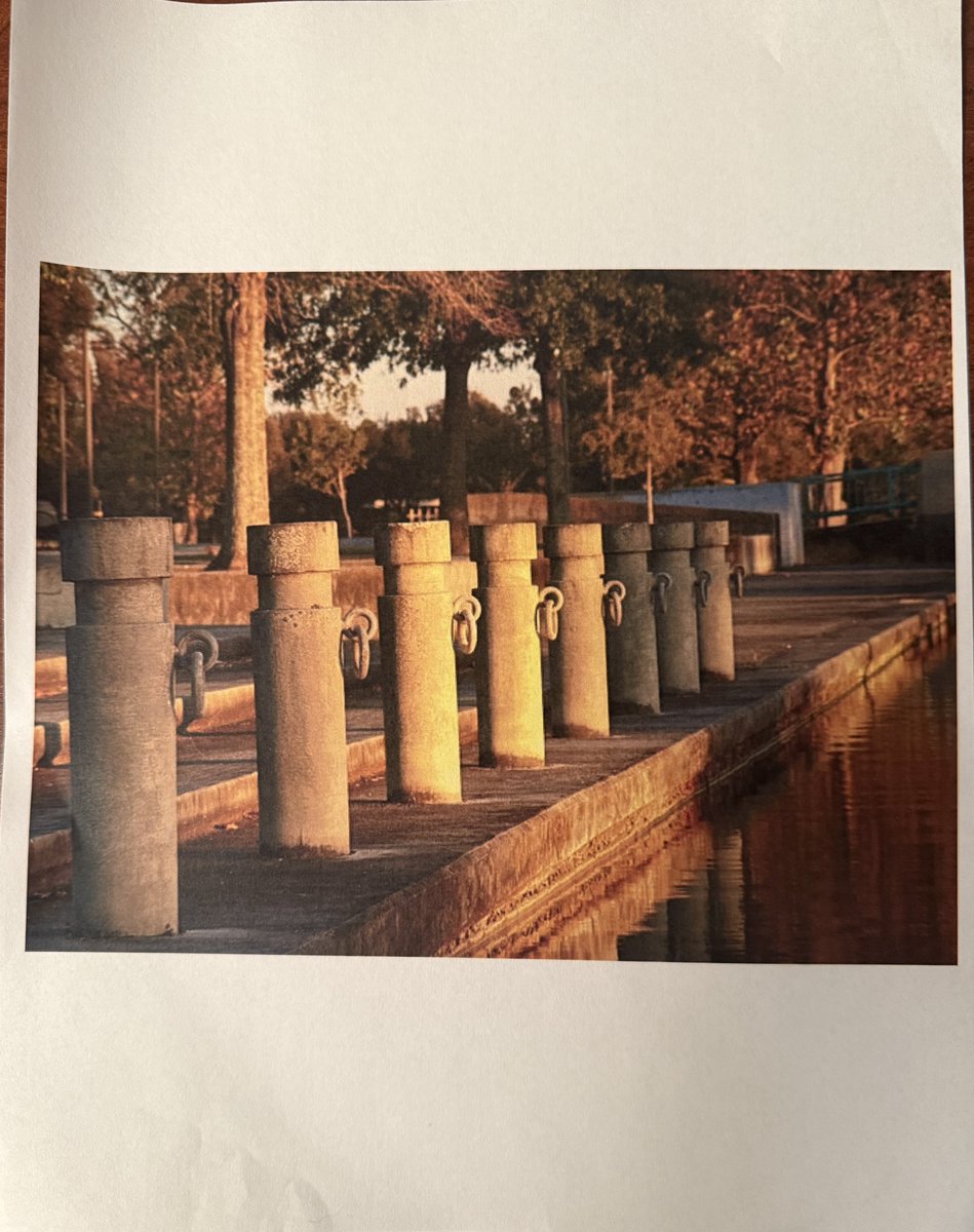 Astral🛸 tweet media