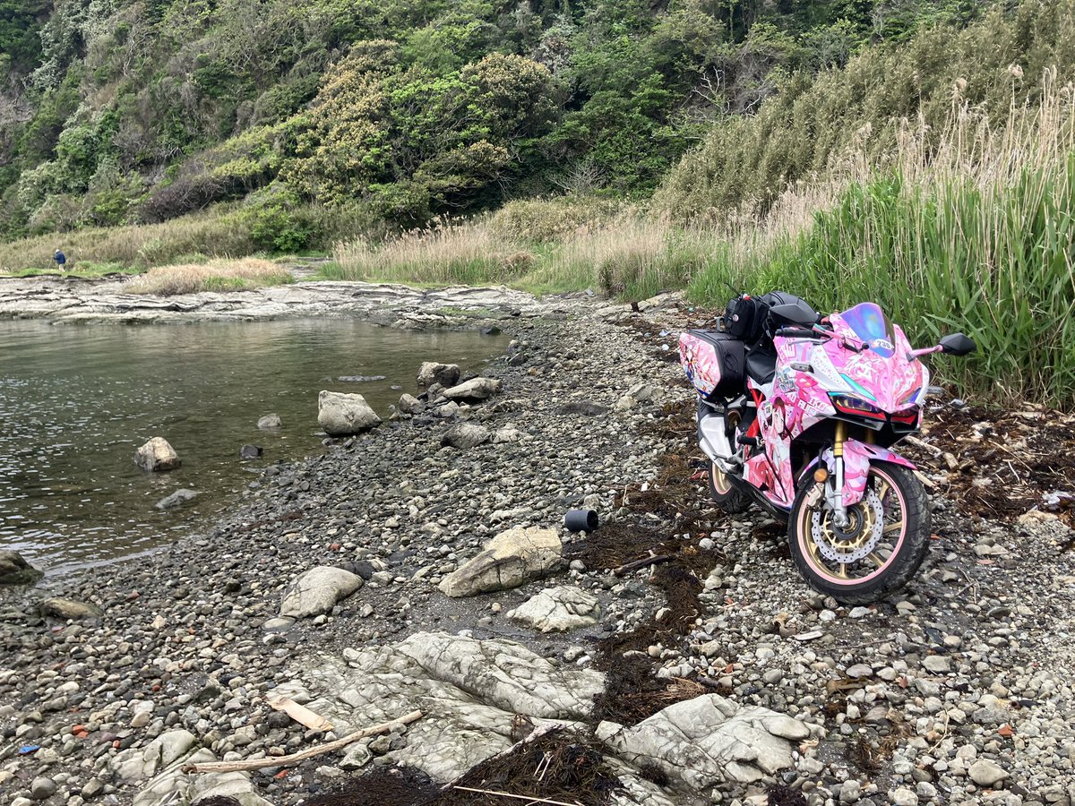 🌸おけらねぎ tweet media