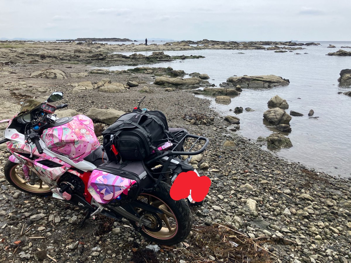 🌸おけらねぎ tweet media