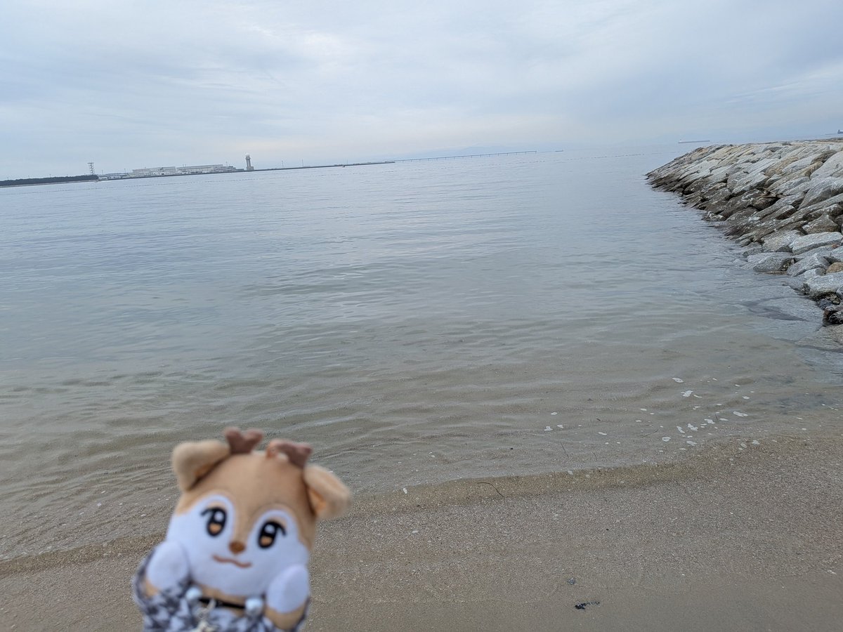 みは🦌🐿🐧 tweet media