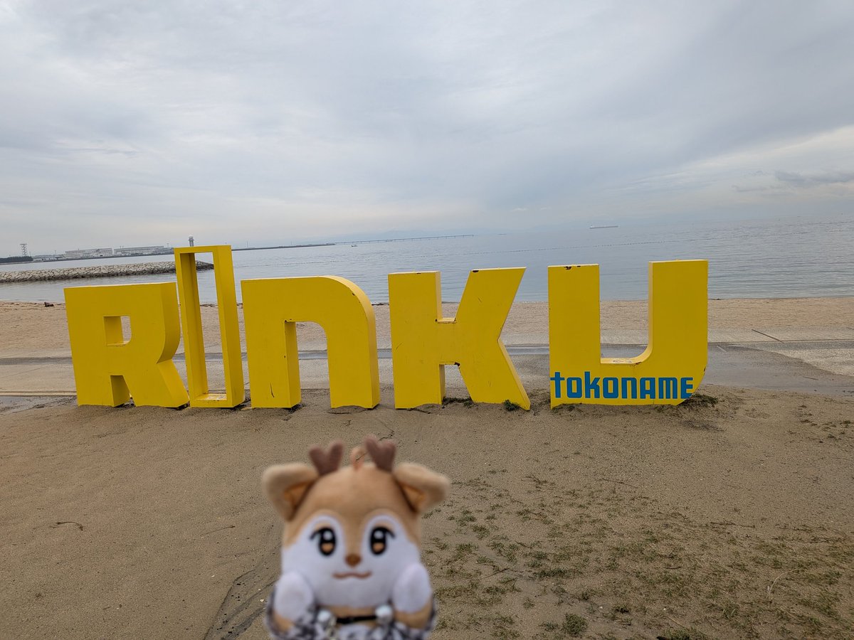 みは🦌🐿🐧 tweet media