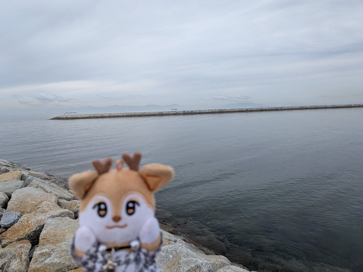 みは🦌🐿🐧 tweet media