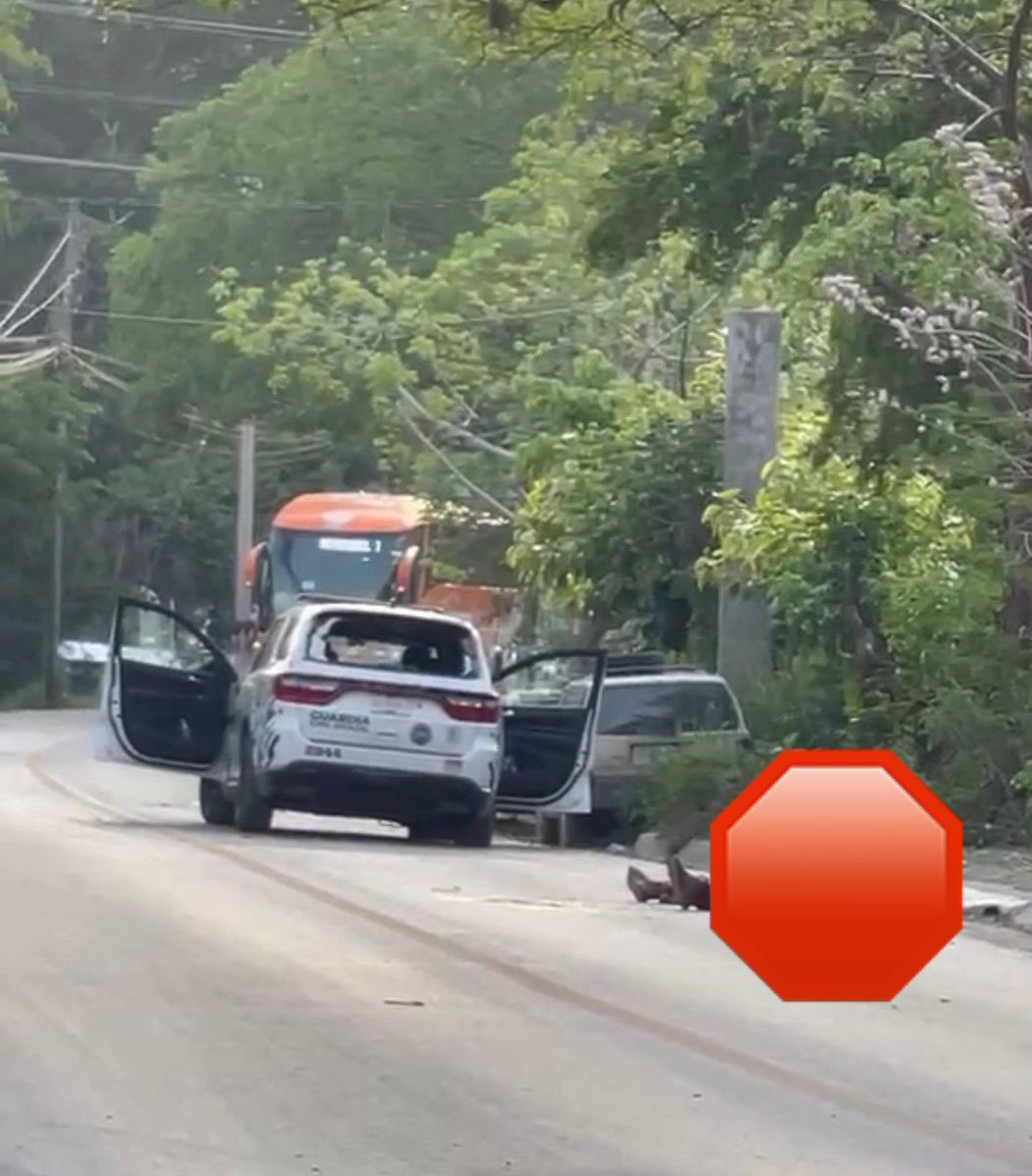 Síntesis San Luis tweet media