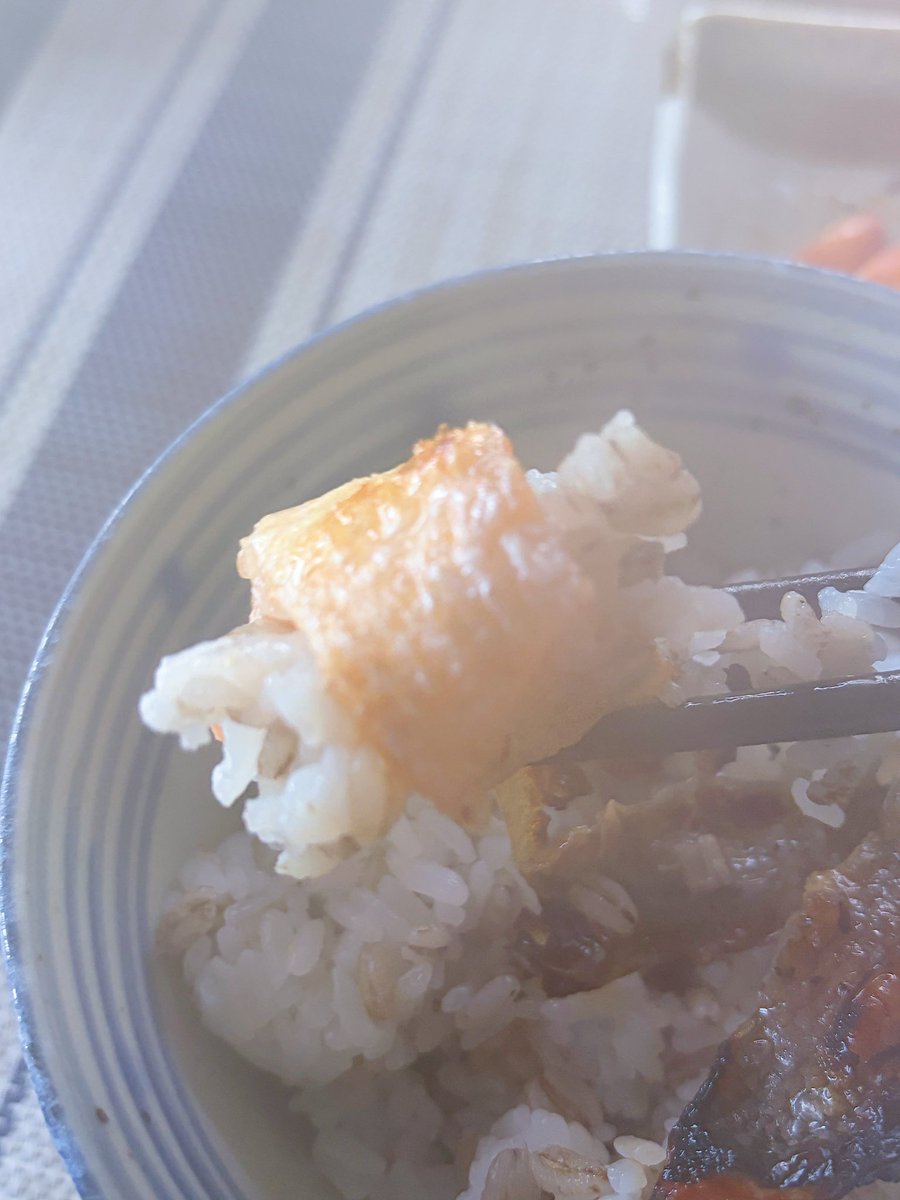 TOMOYA / 筋肉登山部 tweet media