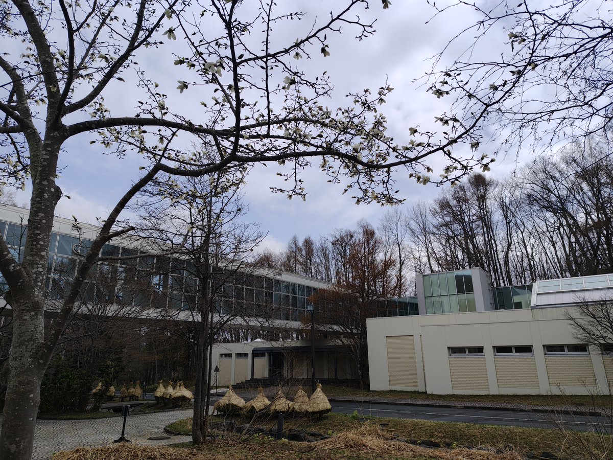 札幌市立大学 tweet media