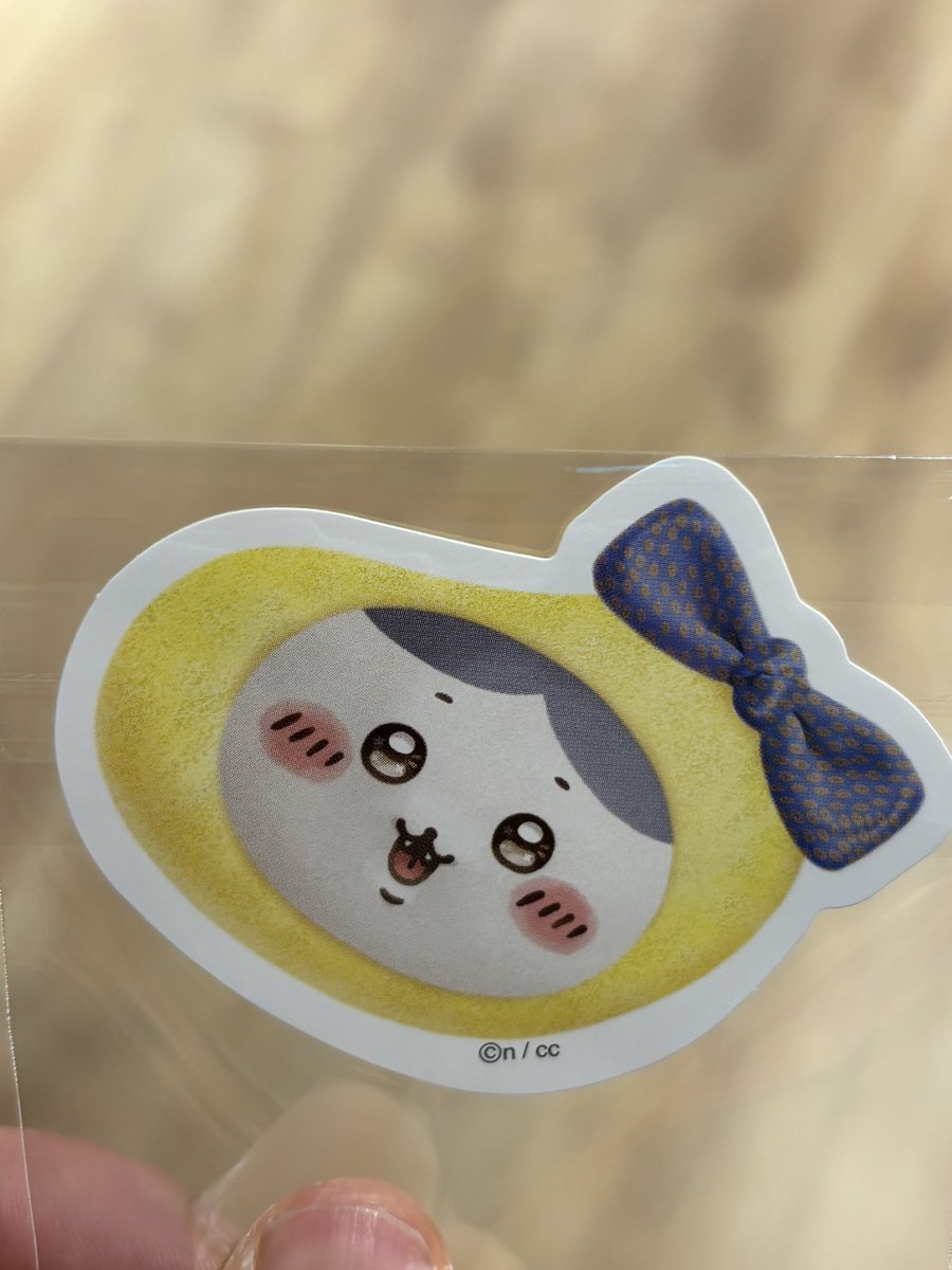 堀 知歩 tweet media