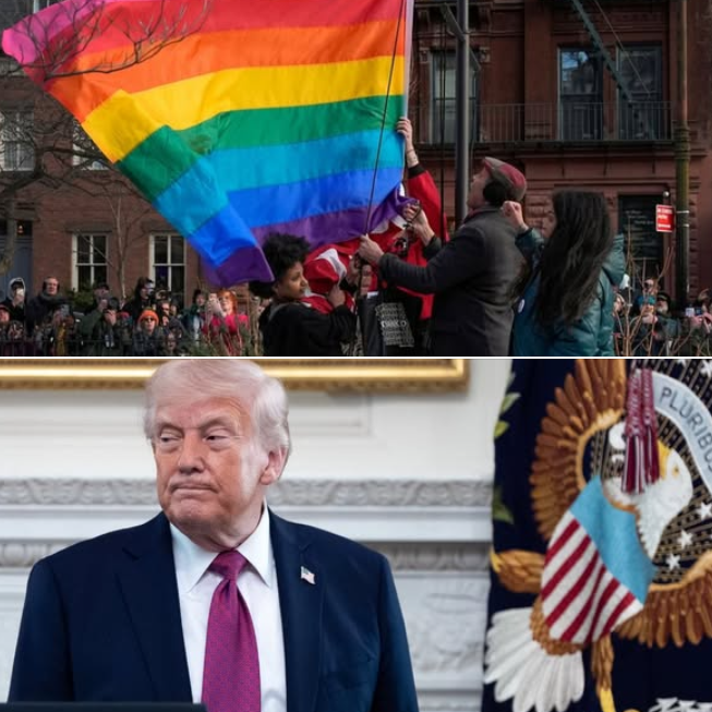 Noticias LGBT+ tweet media