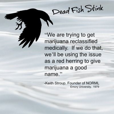 PoppotGroup's tweet image. It took 47 years to do it, but now Keith Stroup, the admitted scam artist &amp;amp; founder of @NORML is getting his way.
Hugh Hefner, the guy who funded NORML, would be proud today!  #redherring  #fraud
@POTUS has been duped and so has @DAGToddBlanche