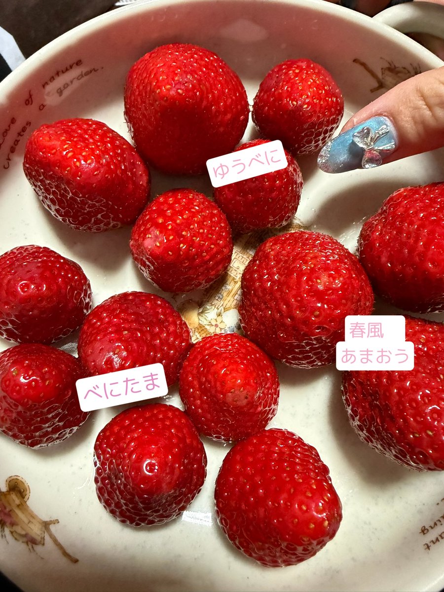 あやこさんの趣味 tweet media