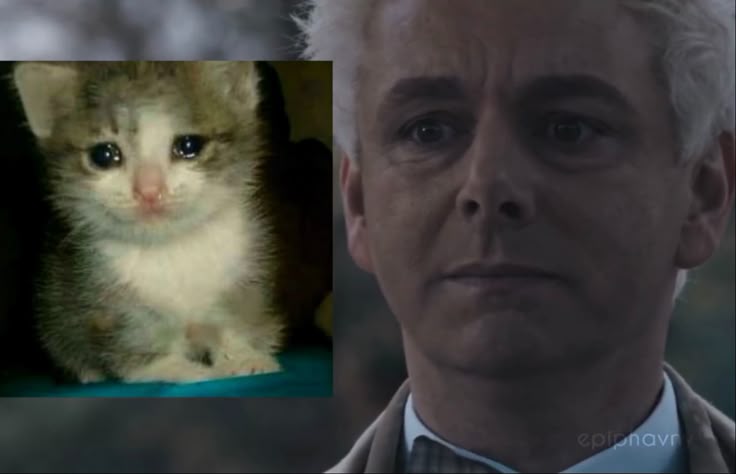 20 DÍAS NO FALTA NADA LPM