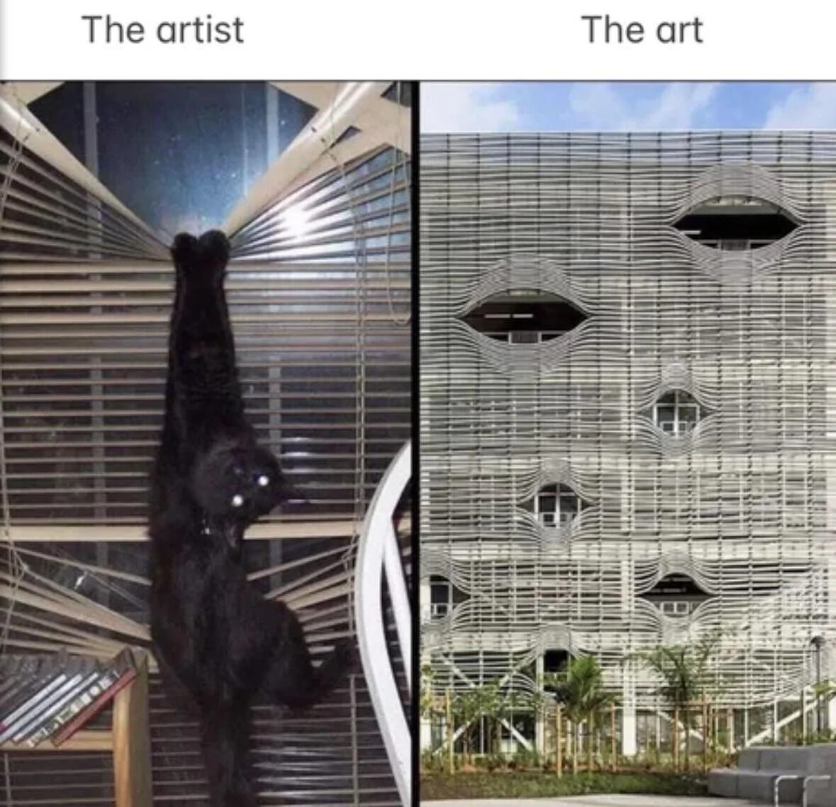 WholesomeMemes tweet media