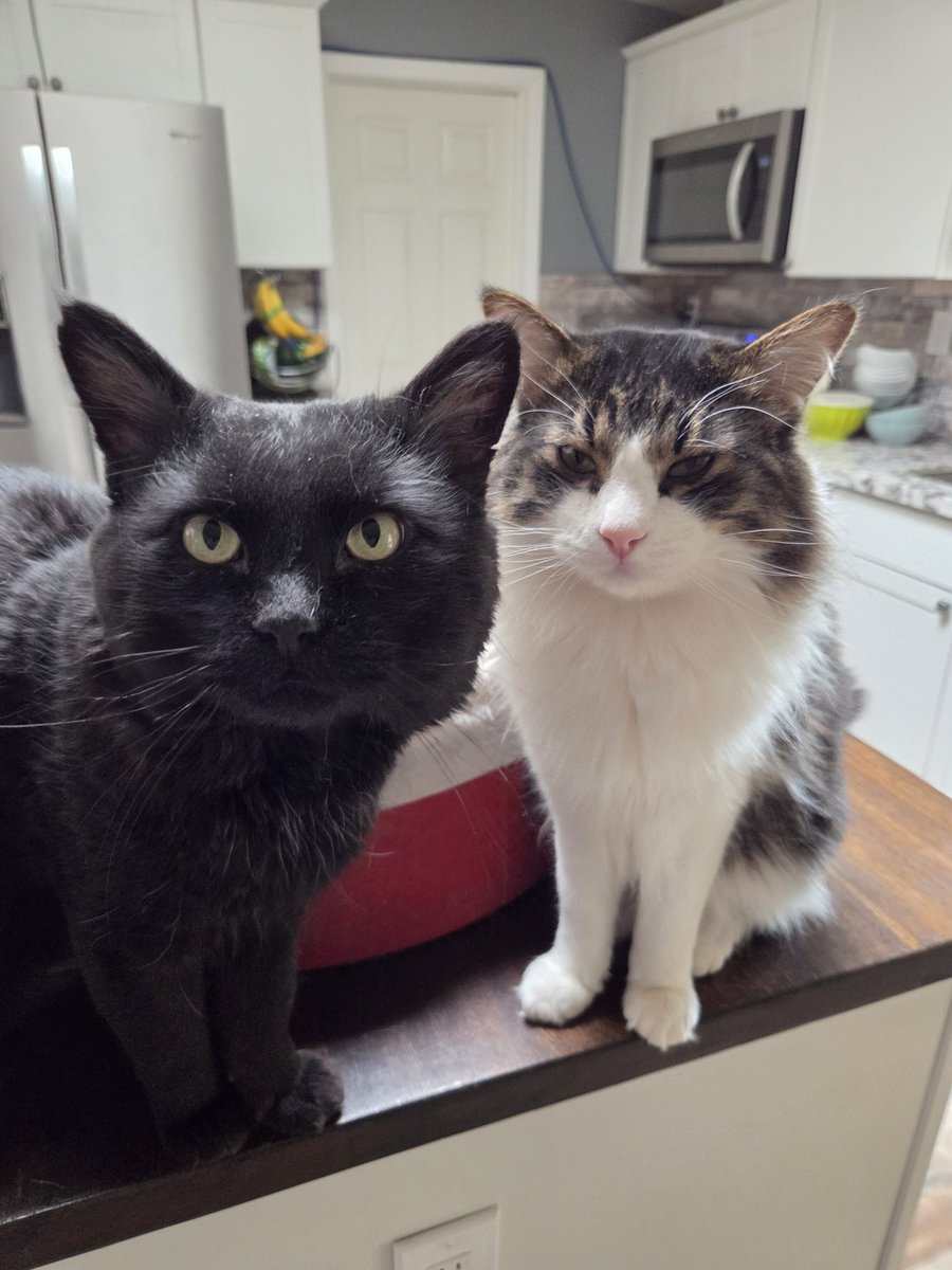 Brad's Pit tweet media