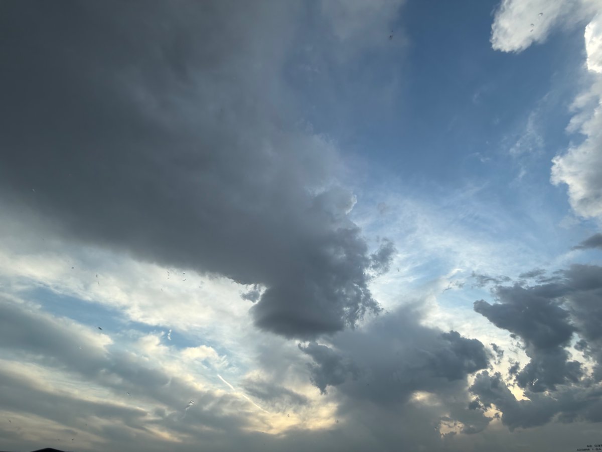 Anderson Jones tweet media