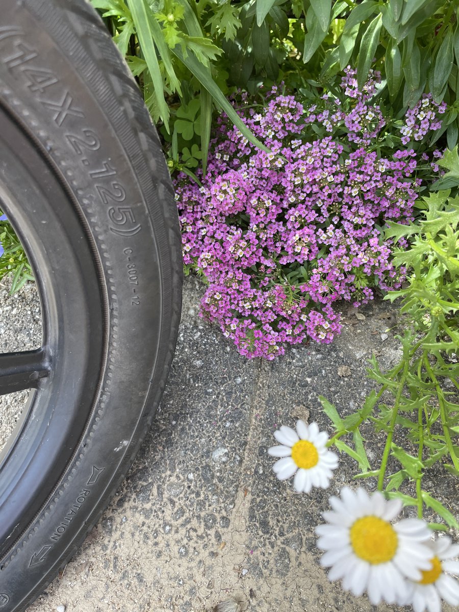 ゆっくり考える tweet media