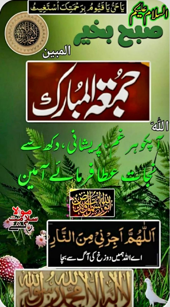 Liaba Ch 💎 tweet media