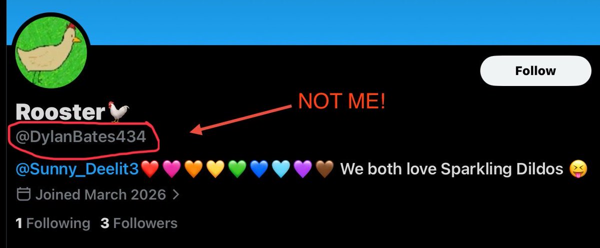 ^ - ^(^ ^)Real Rooster🐓(o^^o)(*☻-☻*) tweet media