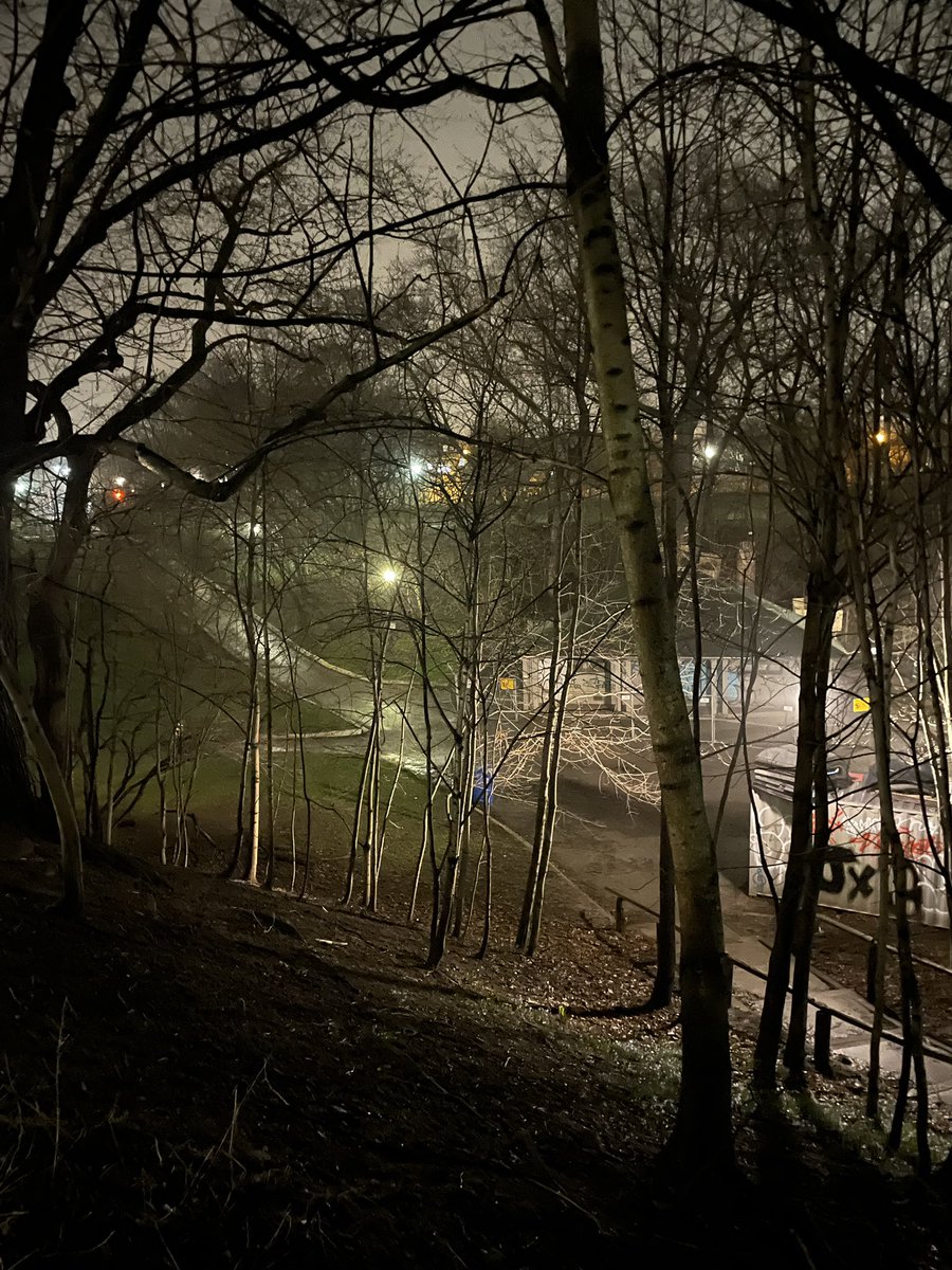 Trinity Bellwoods & Park tweet media