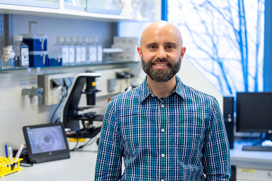 organoidscience's tweet photo. Dr. Alessandro Prigione alongside Carmen Menacho, Satoshi Okawa, and colleagues use deep learning and #BrainOrganoids to identify azole compounds that rescue defects in Leigh syndrome, accelerating drug discovery for this rare disorder.

🔖 https://t.co/2ot8NMQcTR https://t.co/HRnffqoPQo